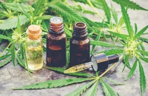 ¿Cual es Furor de el Aceite de Cannabis?
